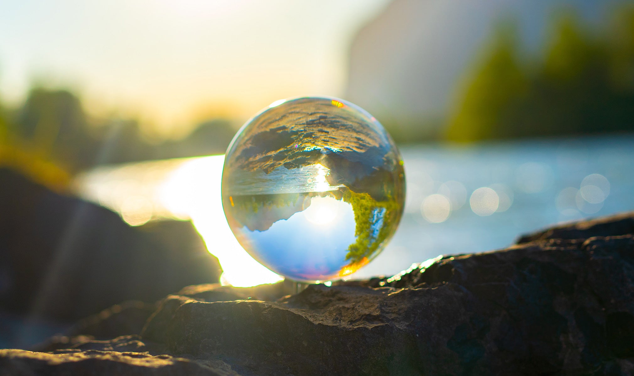 Is Hemp Good for the Planet?