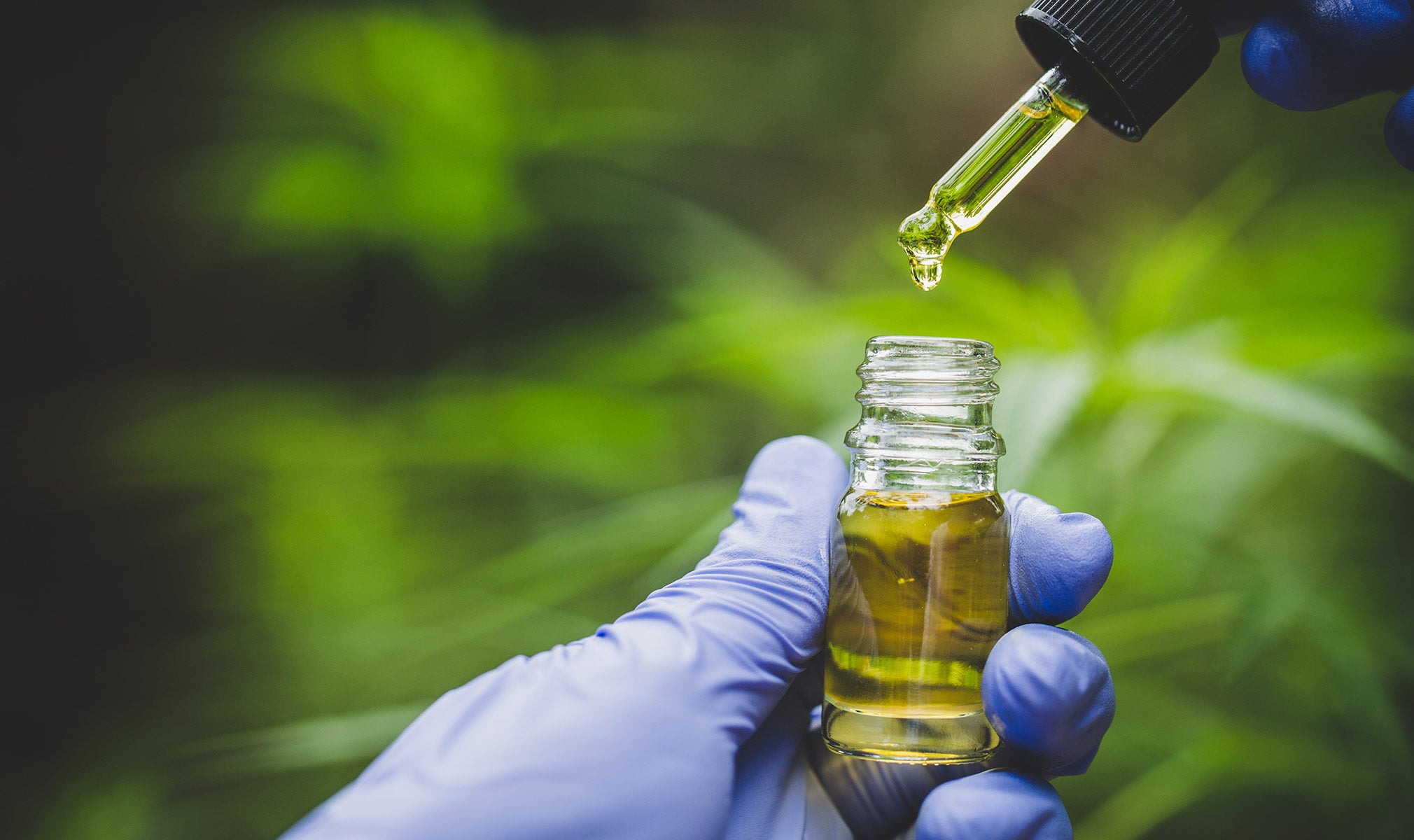 What Are Cannabinoids?