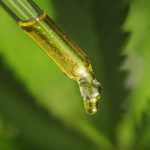 image   cfd e de be dd