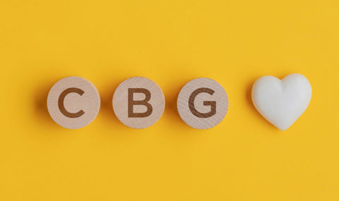 cbdfx us blog What Is CBG x x